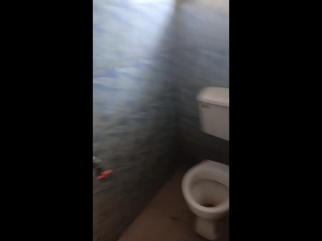 Large spaced room self — photograph 6