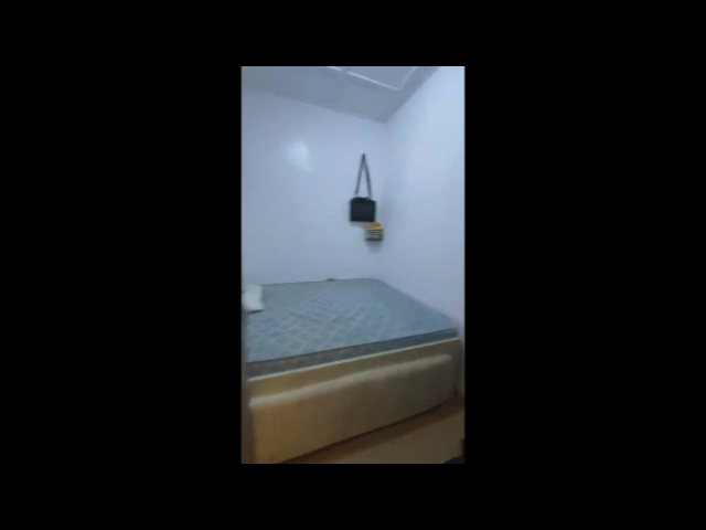 SPACIOUS MINI FLAT TO LET — photograph 7
